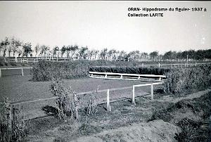 ORAN 1937 HYPPODROME DU FIGIER    (20)